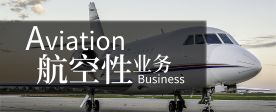 航空性业务